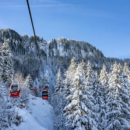 Directly On The Slope *