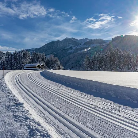 Directly On The Slope *