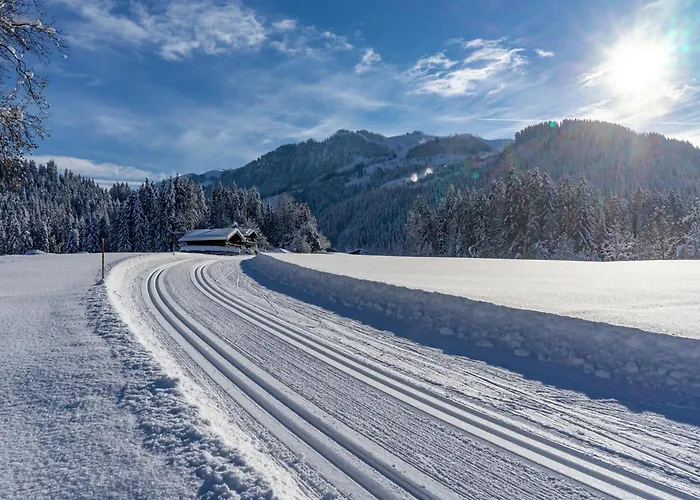 Directly On The Slope *