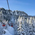 Directly On The Slope *